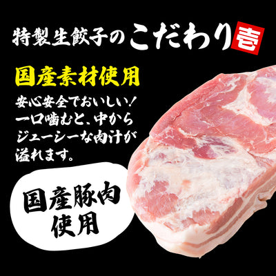 餃子の王様 特製生餃子 餃子 ぎょうざ ギョウザ 100個入