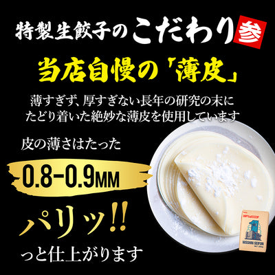 餃子の王様 特製生餃子 餃子 ぎょうざ ギョウザ 100個入